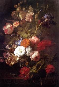 unknow artist Floral, beautiful classical still life of flowers.128 France oil painting art
